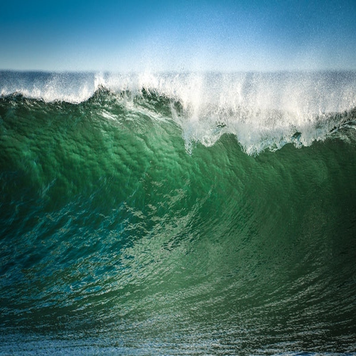 The Wave